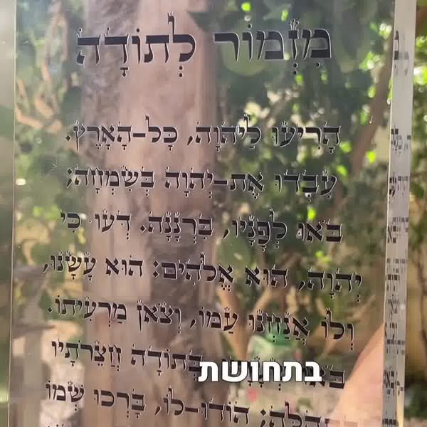 המודעה המנצחת